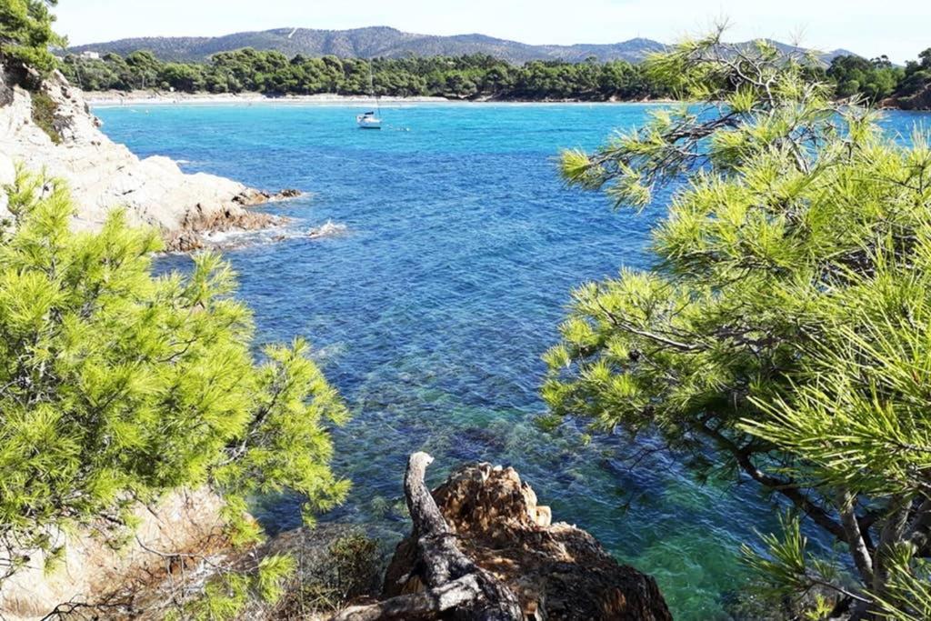 T2 Clim Parking, Entre Nature Et Apartment Hyères